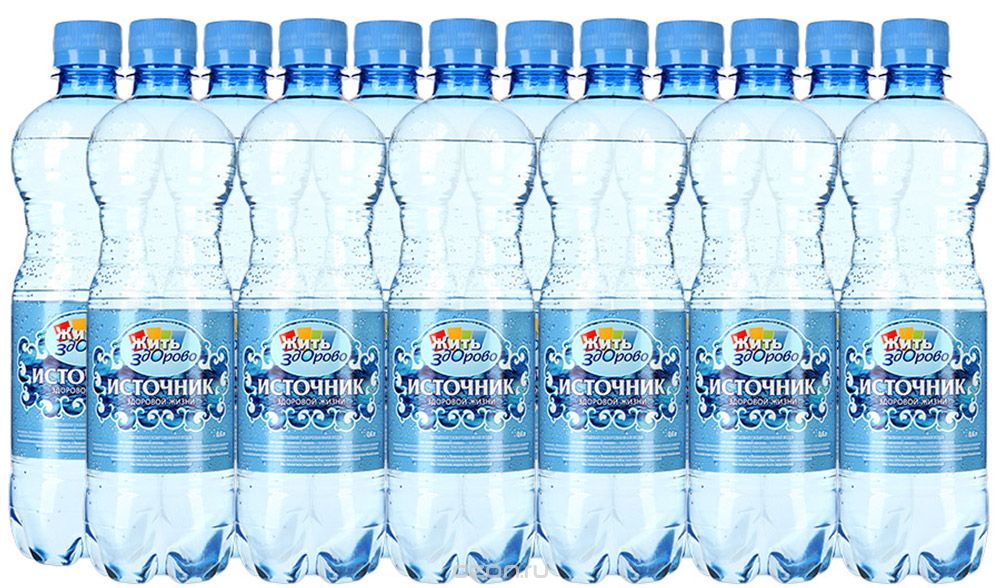 "Источник здоровой жизни" питьевая вода газированная, 12 шт по 0,6 л